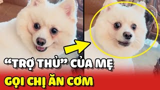 Boss trở thành TRỢ THỦ ĐẮC LỰC của mẹ nhờ CÁI MIỆNG nhanh nhảu 😂 | Yêu Lu