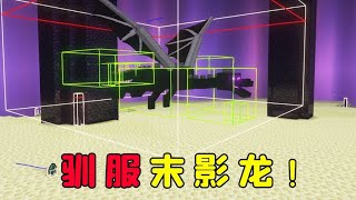 把末影龍玩死機，是什麼樣的體驗？#图图图酱吖  #MC #minecraft