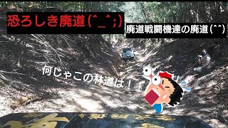 【ジムニー】恐ろしき廃道🤣