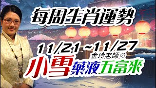 小雪開運。2022生肖運勢週報｜11/21-11/27｜金玲老師（有字幕）