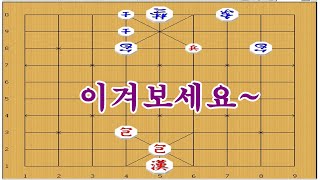 양포의 교란작전으로 외통수 만들기 - 장기박보