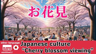 【日本の文化】お花見についての解説【多言語】