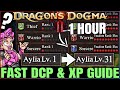 Dragon's Dogma 2 - Get ANY Vocation to Rank 9 FAST & EARLY - Best DCP & XP Farm Leveling Guide!