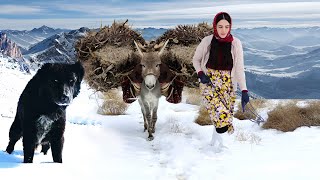 Village Lifestyle Iran: Amazing Cooking \u0026 Donkey Riding By A Girl