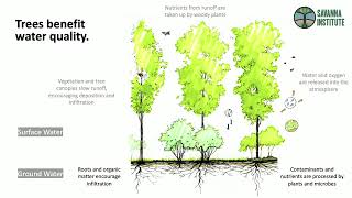 SFC 2024 | Room A | Agroforestry