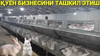 ҚУЁНЧИЛИКНИ ТАШКИЛ ЭТИШ УЙ ШАРОИТИДА БИЗНЕС