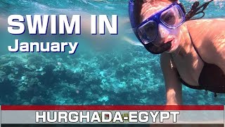 1月のエジプトの海で泳いできたよ。Hurghada-Egypt-Redsea-Paradise Island【国際カップル】