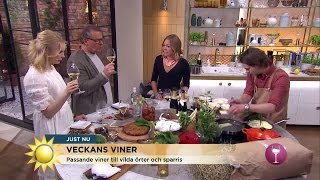 Engelska viner som tar upp kampen mot Champagne - Nyhetsmorgon (TV4)