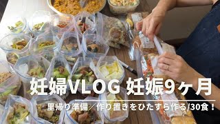 【妊婦vlog】妊娠9ヶ月！里帰り準備/主人用作り置きをひたすら作る/冷凍ストック30食分