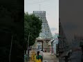 thiruvottiyur vadivudai amman temple random zx video 31