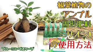 液体肥料などのアンプルや観葉植物の固形肥料、ミリオンAの使用方法 【ブルーミングスケープ】