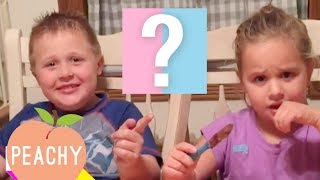 100 Funny Baby Gender Reveals! - Part 2 | Cute Family Compilation