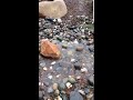 river rock waterfall in the arboretum