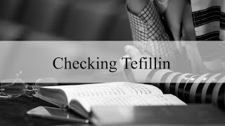 Animation (English) - Important Thing to Check In the Tefillin