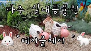 파주 실내동물원 테이블에이. 파주 아이와 가볼만한 곳 추천🐰🦮🐪