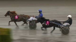 LIVE: Stall Zet - Mini Elitloppet 2019