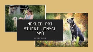 Neklid při míjení jiných psů