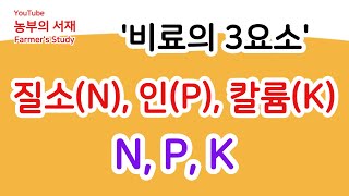 2월에 심을 수 있는 작물? 완두콩!!! 비료의 3요소? 질소(N), 인(P), 칼륨(K) 밑거름 살포? #2월작물 #2월파종 #비료3요소 #질소 #인 #칼륨 #밑거름