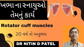 ખભા ના સ્નાયુઓ અને તેમનું કાર્ય  V143.  #shoulder#muscle#rotatorcuff#tips#healthtips#best#education