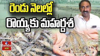 రెండు నెలల్లో రొయ్యకు మహర్దశ | Nela Talli | hmtv Agri