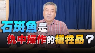 '22.06.13【小董真心話】石斑魚是仇中操作的犧牲品？