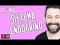 RESUMO sobre SISTEMA ENDÓCRINO | Biologia com Samuel Cunha