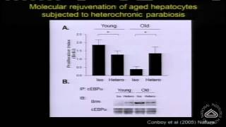 Is Aging Reversible? Resetting the Clock