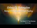 Echoes Of Redemption | The Seed Of The Woman