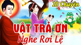 10 Chuyện Nhân Quả Nghe Rơi Lệ, CỨU VẬT...VẬT TRẢ ƠN - Gieo Nhân Nào Gặt Quả Đó | Truyện Đêm Khuya