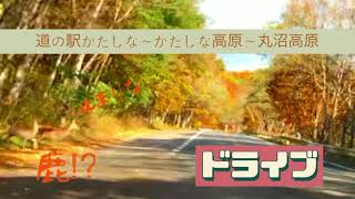 『ドライブ』紅葉　道の駅　かたしな〜かたしな高原〜丸沼高原