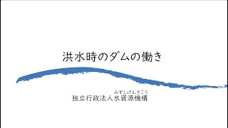 ダムの防災操作