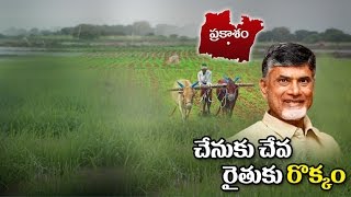 AP CM Chandrababu To Visit Prakasam District Today | NTV