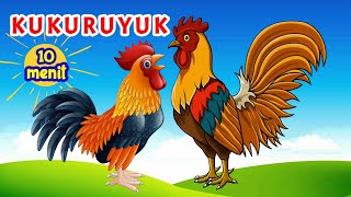 Kukuruyuk dan Si Ayam Lucu | Lagu Anak Anak | Ayam Berkokok