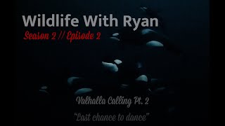 WILDLIFE WITH RYAN Season 2, Ep. 2  -  \