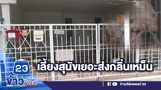 เพื่อนบ้านเลี้ยงสุนัขหลายตัว ส่งกลิ่นเหม็นรบกวน | บรรจงชงข่าว | วันที่ 25 สิงหาคม 2566