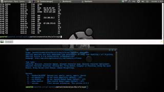 Spoonfeeding Hacking - How To Penetration Test; Information Gathering with urlcrazy