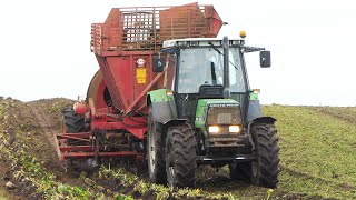 Deutz Fahr DX4.61 harvesting Sugarbeet with TIM harvester