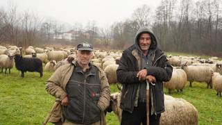 2 MJESECA  SMO  POD  ŠATOROM  JOŠ  10AK  DANA I MI SMO KUĆI