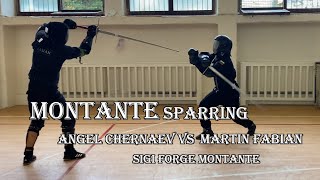 SIGI Forge Montante sparring with Martin Fabian