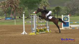 040S Kristin Joly on Vice Commander CCI1* Show Jumping Twin Rivers Ranch April 2018