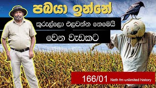 ඉපැරණි කිරුම් මිණුම් | Sinhala units of measurement | Neth fm Unlimited History  sri lanka 166 - 01