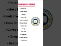 PHRASAL VERBS LEARN ENGLISH #english #fyp #foryou