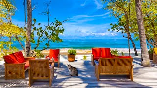 Beach Cafe Ambience ☕ Bossa Nova Music, Ocean Wave Sounds, Outdoor Seaside Coffee Shop Background