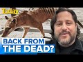 Plan to bring extinct Tasmanian Tiger back in next decade | Today Show Australia