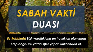 SABAH VAKTİ ÖZEL DUASI - Ey Rabbimiz! Bizi iman edip doğru ve yararlı işler yapan kullarından et...