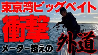 ガレヨコ趣味紀行『東京湾ビッグベイトでまさかの外道を釣り上げる』シーバス狙いで衝撃の大物に出会う！だから釣りは面白い！