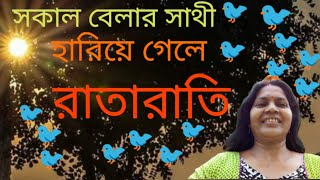 সকাল বেলার সাথী🐦হারিয়ে গেলে রাতারাতি👆একটি হারিয়ে যাওয়া প্রেমের কবিতা