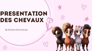 PRÉSENTATION DE MES CHEVAUX ET PONEYS (+ de 10 chevaux)