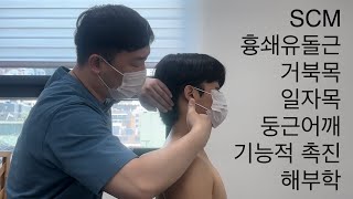 기능적 촉진 해부학_실습_7강: SCM과 주변근육 그리고 움직임