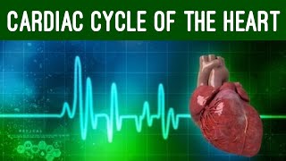 Cardiac Cycle and Conduction System of Heart [Physiology Animation]
